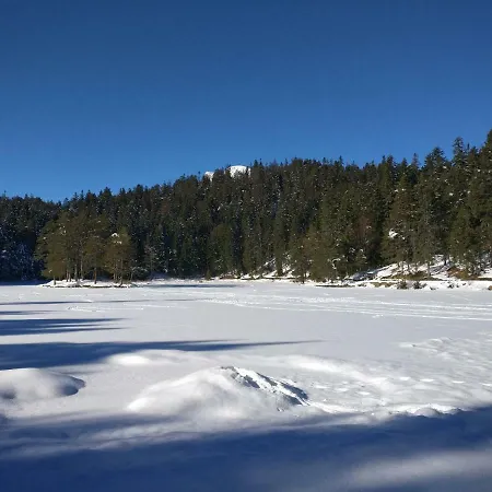 Appartamento Haus Senn Seefeld in Tirol