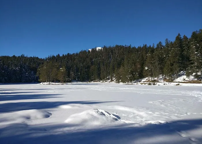 Apartment Haus Senn Seefeld in Tirol